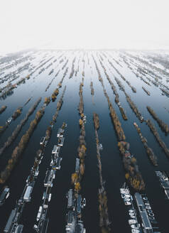 Aerial view of houses on the water, Scheendijk, Netherlands. - AAEF19601