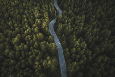 Aerial view of a mountain road, Mount Etna, Sicily, Italy. - AAEF19779