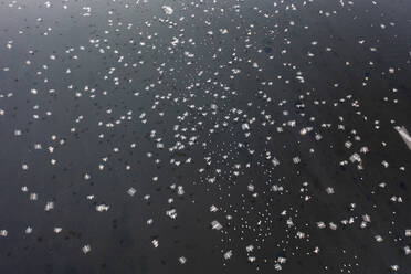 Aerial view of people feeding birds on a fishing boat along the Yamuna river in New Delhi, India. - AAEF19911