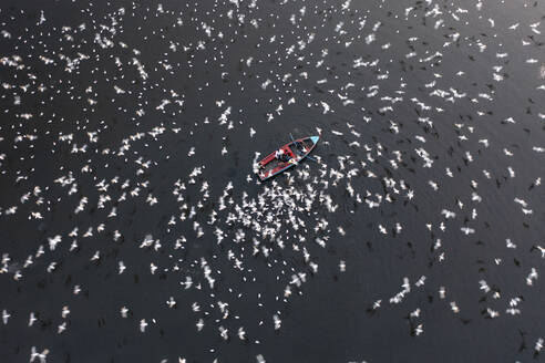 Aerial view of people feeding birds on a fishing boat along the Yamuna river in New Delhi, India. - AAEF19912