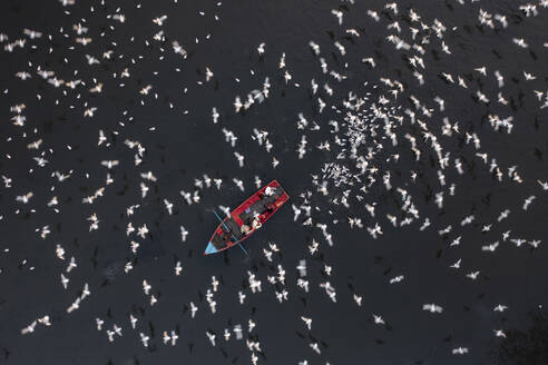 Aerial view of people feeding birds on a fishing boat along the Yamuna river in New Delhi, India. - AAEF19914