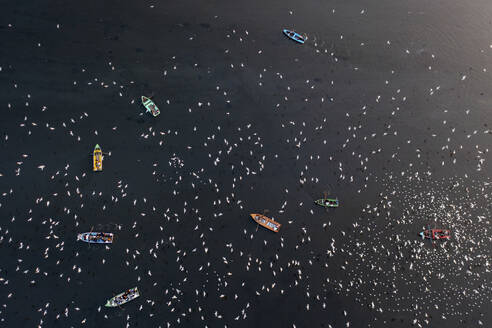 Aerial view of people feeding birds on a fishing boat along the Yamuna river in New Delhi, India. - AAEF19915