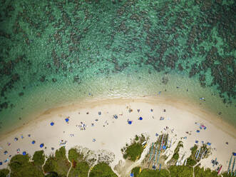 Aerial View of Lanikai Beach with outrigger canoe, Kailua, Hawaii, United States. - AAEF19927