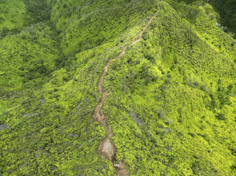Aerial View of Wiliwilinui Ridge Trail, Honolulu, Hawaii, United States. - AAEF19929
