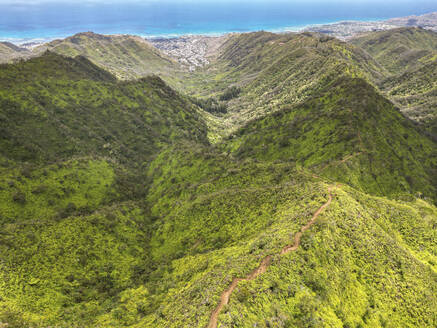 Aerial View of Wiliwilinui Ridge Trail, Honolulu, Hawaii, United States. - AAEF19930