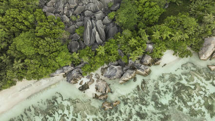 Aerial view of forest and granite boulders, Anse Source d'Argent, La Digue, Seychelles. - AAEF19953