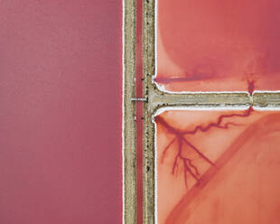 Aerial view of pink salt marshes near Salin de Giraud, Provence, France. - AAEF19956