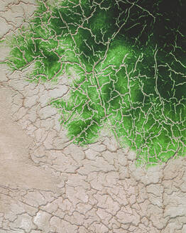 Aerial view of green salt marshes, near Huelva, Andalusia, Spain. - AAEF19968