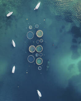 Aerial view of Fish Ponds in Port Andratx, Balearic Islands, Mallorca, Spain. - AAEF19981