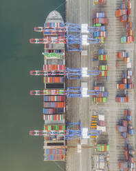 Aerial view of the Port of Long Beach, California, United States. - AAEF20029