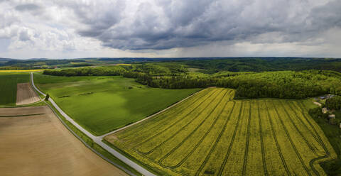 Aerial drone panoramic view of the forest quarter in Lower Austria with canola fields in the foreground and forest in the background under a storm and cloud covered sky. - AAEF20040