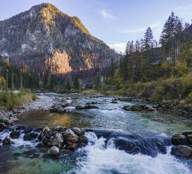 Aerial drone view of Salza River with a mountain peak in the background on a fall day under a clear sky surrounded by a forest, Wildalpen, Austria. - AAEF20050