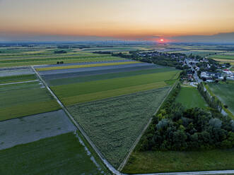 Aerial drone view of fields at sunset showing the geometric shapes, Wagram an der Donau, Lower Austria, Austria. - AAEF20058