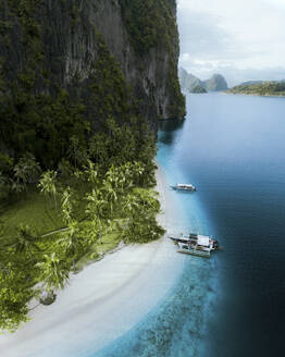 Aerial view of catamarans boat along the shoreline at Pinabuyutan Island, El Nido Palawan, Philippines. - AAEF20183