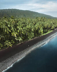 Aerial view of a person walking on a black sand beach at Gretek, Bali, Indonesia. - AAEF20209