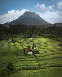 Luftaufnahme von Terrassenfeldern im Sidemen-Tal, Bali, Indonesien. - AAEF20219