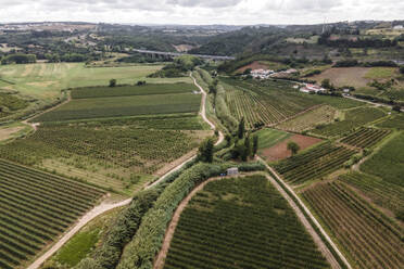 Aerial view of agricultural fields in Obidos countryside, Leiria district, Portugal. - AAEF20425