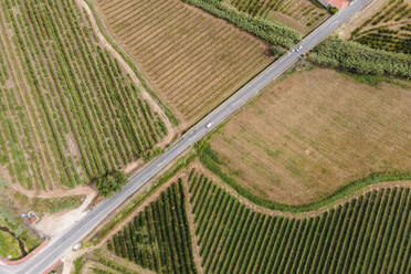 Aerial view of a vehicle driving on the road among agricultural fields in Obidos countryside, Leiria district, Portugal. - AAEF20426