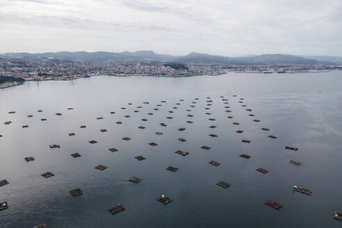 Luftaufnahme einer Fischereiplattform für Fischereikulturen vor der Küste von Moana entlang des Flusses Ria de Vigo, Vigo, Galicien, Spanien. - AAEF20456
