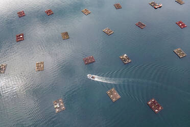 Aerial view of a fishing boat sailing across the fishing platform for fishing cultures off Moana coastline along the Ria de Vigo river, Vigo, Galicia, Spain. - AAEF20459