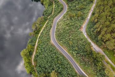 Aerial view of a road driving along the coast of Minho river in Val de Pereira, Ourense, Spain. - AAEF20480