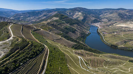 Aerial of the Wine Region of the Douro River, UNESCO World Heritage Site, Portugal, Europe - RHPLF26111