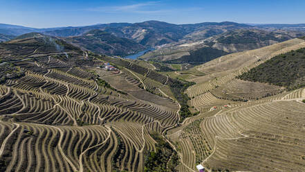 Aerial of the Wine Region of the Douro River, UNESCO World Heritage Site, Portugal, Europe - RHPLF26112