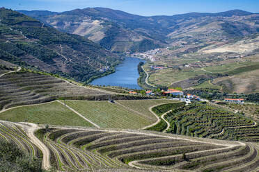 View over the Wine Region of the Douro River, UNESCO World Heritage Site, Portugal, Europe - RHPLF26113