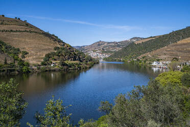 View over the Wine Region of the Douro River, UNESCO World Heritage Site, Portugal, Europe - RHPLF26114