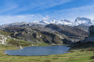 Covadonga lake, Picos de Europa National Park, Asturias, Spain, Europe - RHPLF26127