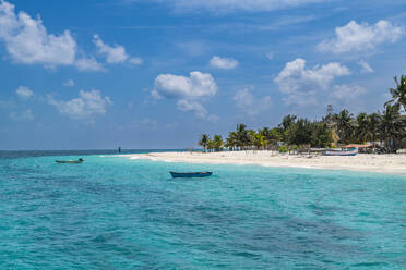 Palm fringed white sand beach, Agatti Island, Lakshadweep archipelago, Union territory of India, Indian Ocean, Asia - RHPLF26132