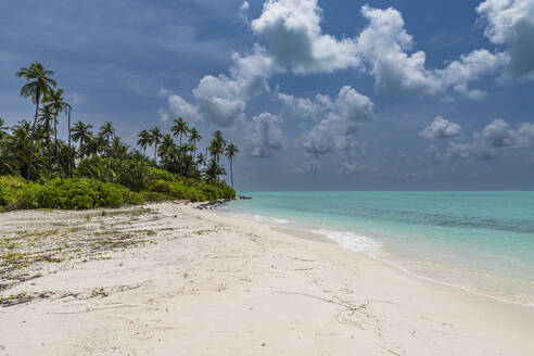 White sand beach on Bangaram island, Lakshadweep archipelago, Union territory of India, Indian Ocean, Asia - RHPLF26135