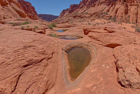 Waterholes in Ferry Swale Canyon near Page, Arizona, United States of America, North America - RHPLF26244