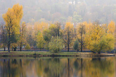 Reflections of colorful trees on Shooters Island (Strelecky ostrov) on Vltava River in autumn, Prague, Czech Republic (Czechia), Europe - RHPLF26288