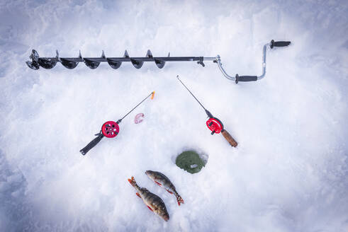 Ice drill, fishing rods and catch of fish close to ice hole, Lapland, Sweden, Scandinavia, Europe - RHPLF26289