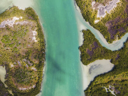 Luftaufnahme eines Feuchtgebiets mit Fluss im Naturschutzgebiet Rio Largatos in Yucatan, Mexiko. - AAEF20574