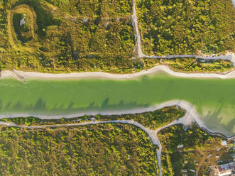 Aerial view of a river at Sayachaltun Natural reserve, Yucatan, Mexico. - AAEF20604