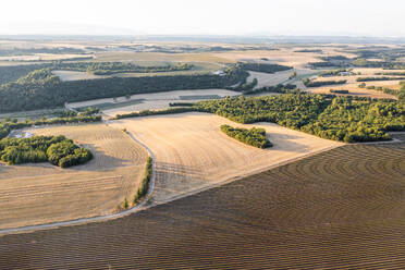 Aerial view of agricultural fields in countryside, Valensole, France. - AAEF20661