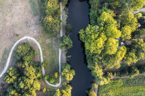 Aerial view of autumn colours foliage of a forest along Rio Ave, a river in Braga state, Portugal. - AAEF20672