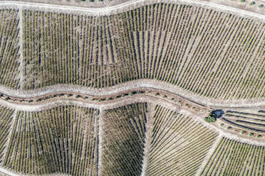 Luftaufnahme von Weinbergen in der Landschaft bei Sao Cristovao do Douro, Portugal. - AAEF20673