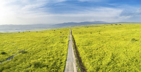 Panoramic aerial view of a straight, endless, road in a grassland setting. Golan Heights, Israel. - AAEF20750