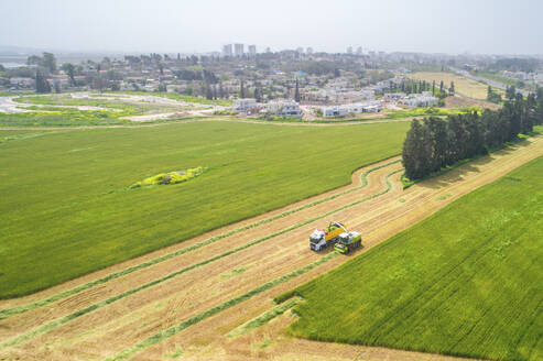 Aerial view of a agricultural machinery at action in a wheat field, kibbutz saar, Israel. - AAEF20758