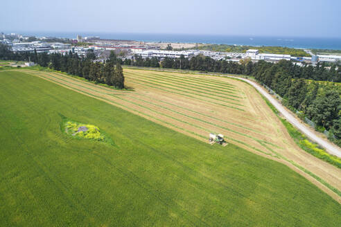 Aerial view of a agricultural machinery at action in a wheat field, kibbutz saar, Israel. - AAEF20760