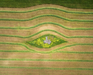 Aerial view of a eye shape pattern in a field, kibbutz saar, Israel. - AAEF20763