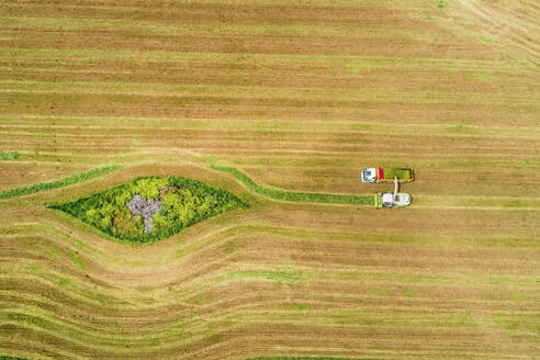 Aerial view of a agricultural machinery at action in a wheat field, kibbutz saar, Israel. - AAEF20765