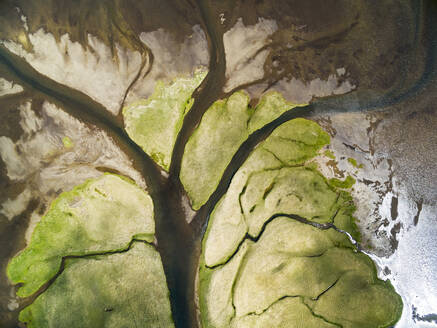 Abstract aerial view of small dividing stream flowing towards lagoon, Vatsnes, north Iceland. - AAEF20767