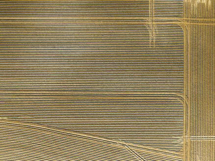 Abstract aerial view of cropland with tractor tracks, Midden-Drenthe, Drenthe, Netherlands. - AAEF20777