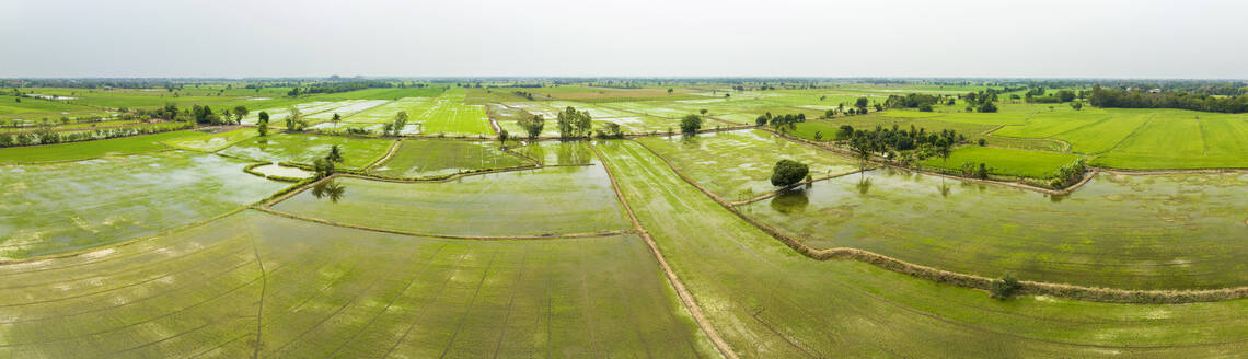 Aerial panorama of farmland with irrigated rice fields, Nakhon Luang, province of Ayutthaya, Thailand. - AAEF20786