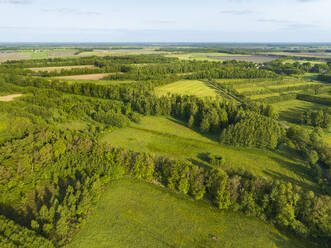 Luftaufnahme einer Landschaft mit Wiesen, Baumreihen und Wäldern, Windhorst, Mantinge, Drenthe, Niederlande. - AAEF20795