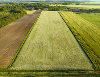 Luftaufnahme einer Landschaft mit Ackerlandstreifen, Windhorst, Mantinge, Drenthe, Niederlande. - AAEF20796